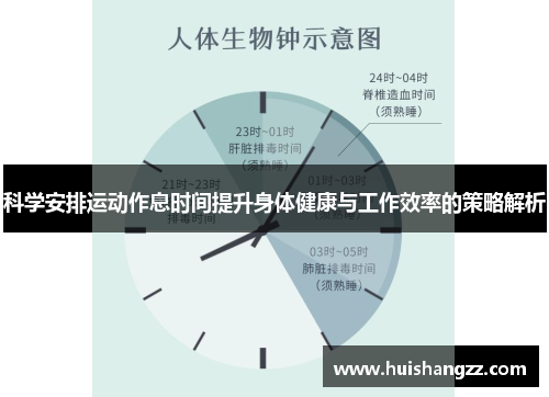 科学安排运动作息时间提升身体健康与工作效率的策略解析
