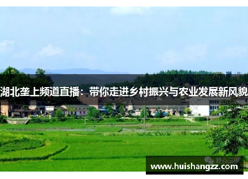 湖北垄上频道直播：带你走进乡村振兴与农业发展新风貌