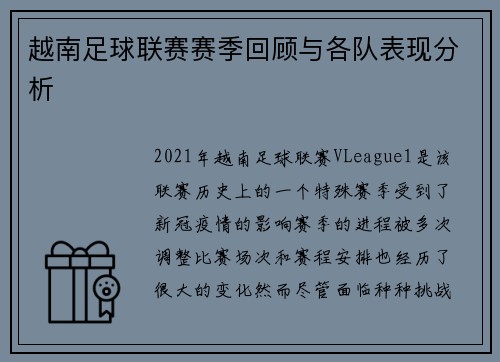越南足球联赛赛季回顾与各队表现分析