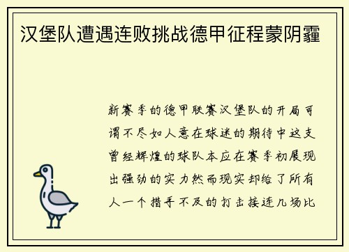 汉堡队遭遇连败挑战德甲征程蒙阴霾
