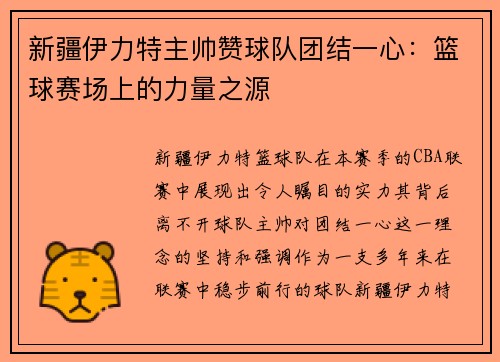 新疆伊力特主帅赞球队团结一心：篮球赛场上的力量之源